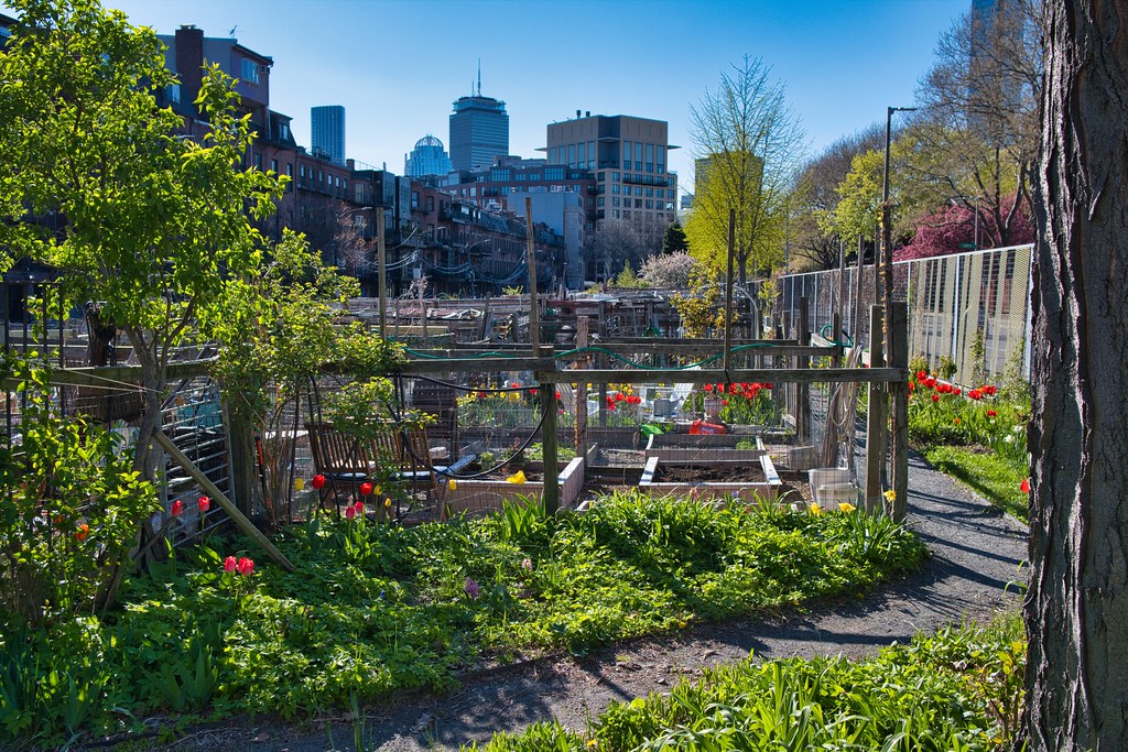 Get Involved: Explore Community Garden Projects for a Greener Tomorrow!